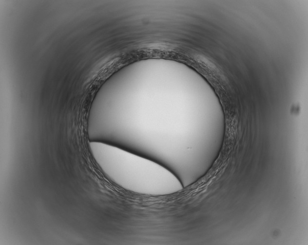 X0000097900774200803141005