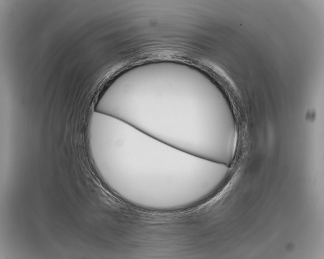 X0000097900777200803141005
