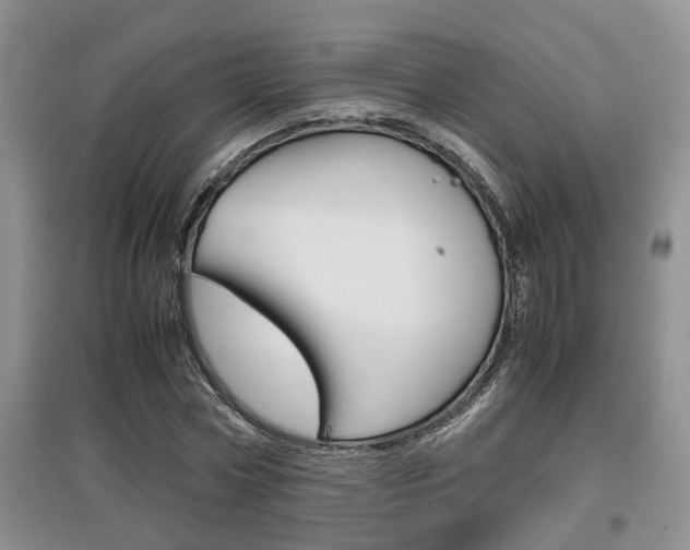 X0000097900778200803141005
