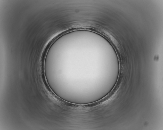 X0000097900779200803141005