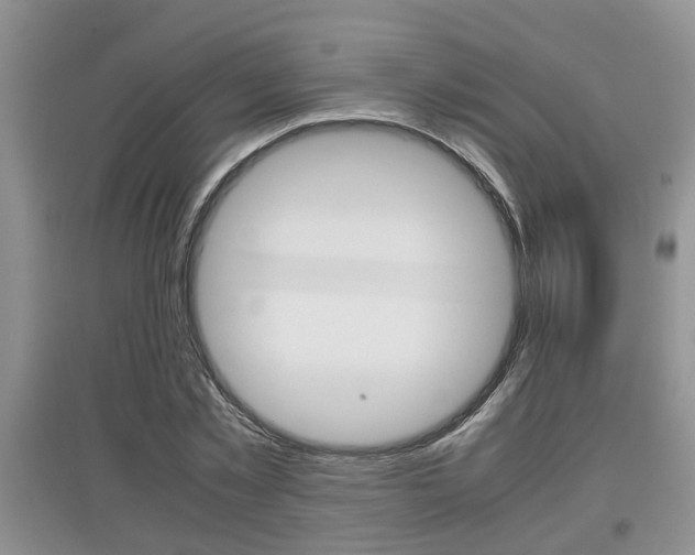 X0000097900781200803141005