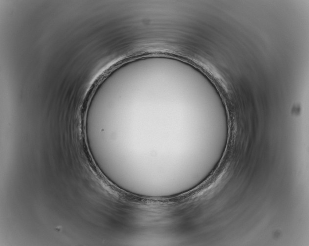 X0000097900782200803141005
