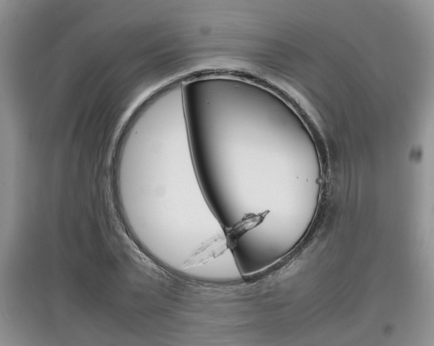 X0000097900783200803141005
