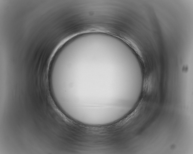 X0000097900784200803141005