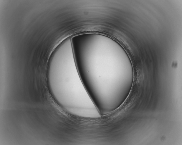 X0000097900786200803141005