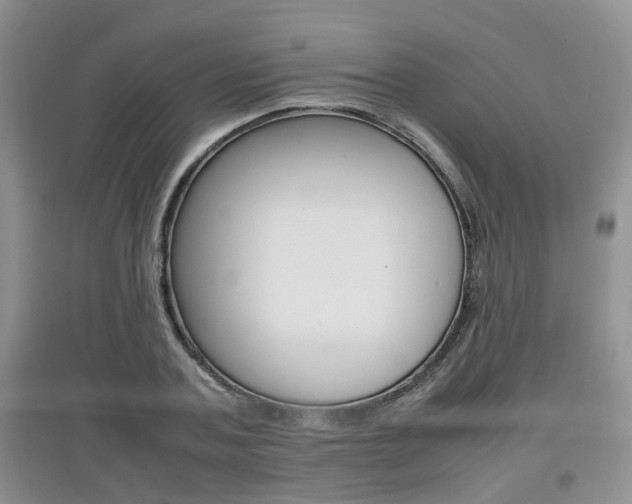 X0000097900787200803141005