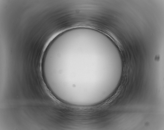 X0000097900788200803141005