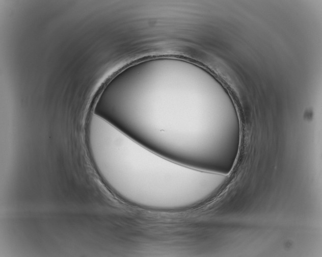 X0000097900789200803141005