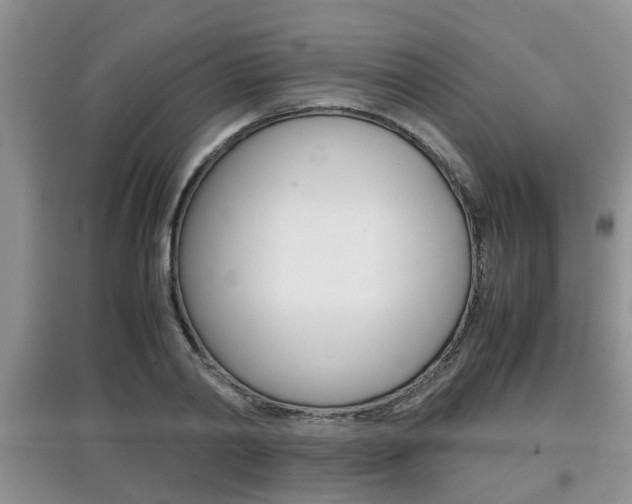 X0000097900790200803141005