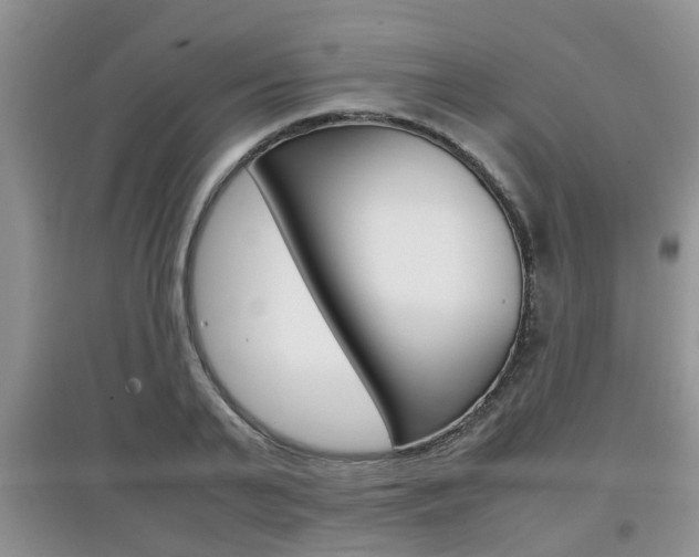 X0000097900791200803141005