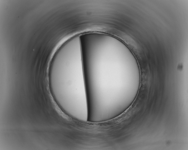 X0000097900792200803141005