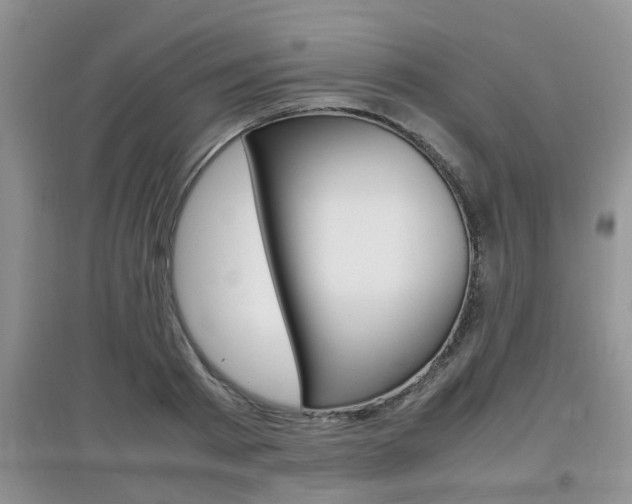 X0000097900793200803141005