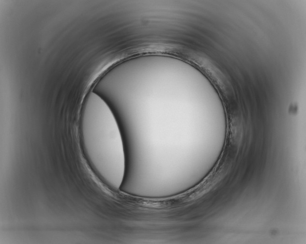 X0000097900794200803141005