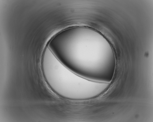 X0000097900797200803141005