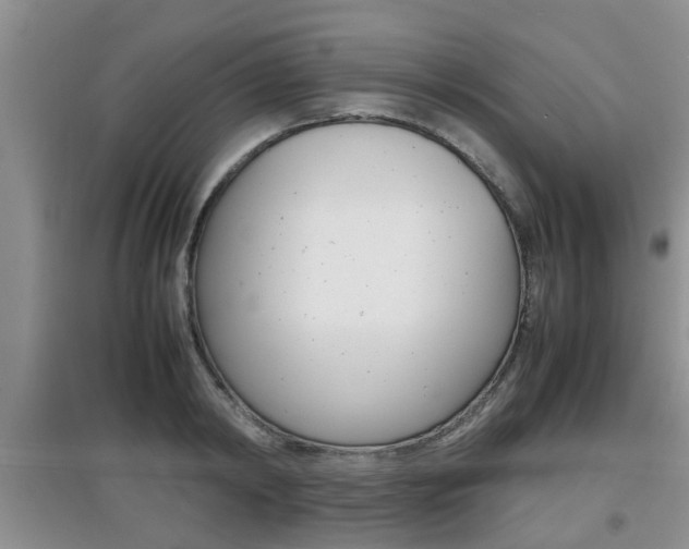 X0000097900798200803141005