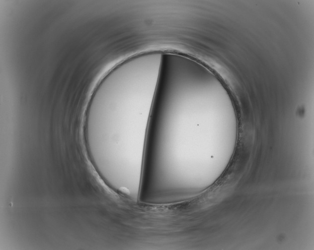X0000097900799200803141005