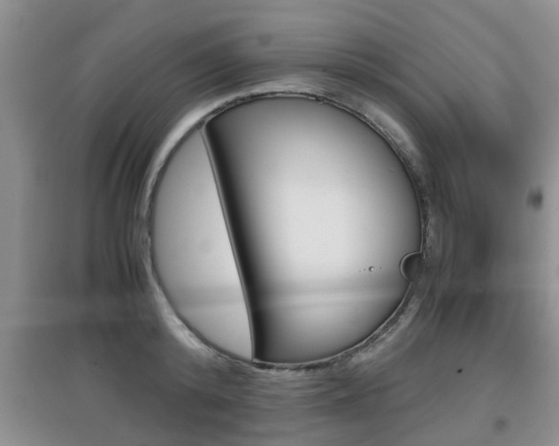 X0000097900800200803141005
