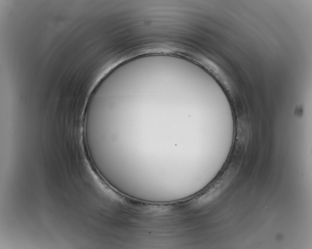 X0000097900802200803141005