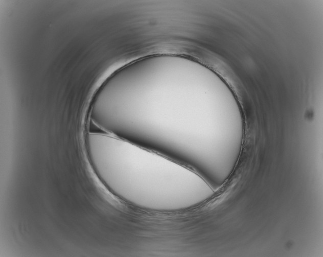 X0000097900803200803141005