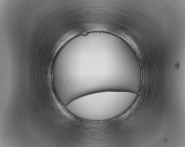 X0000097900806200803141005