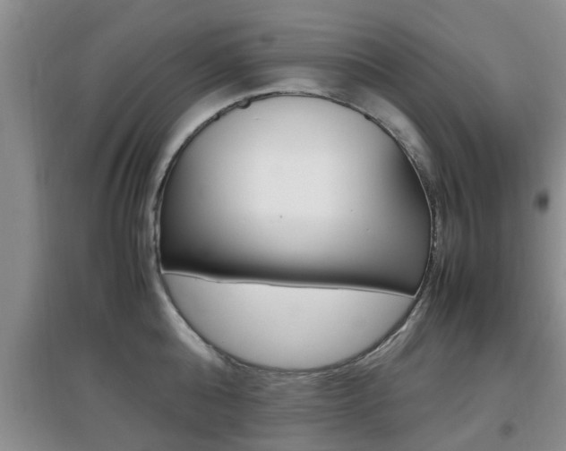 X0000097900808200803141005