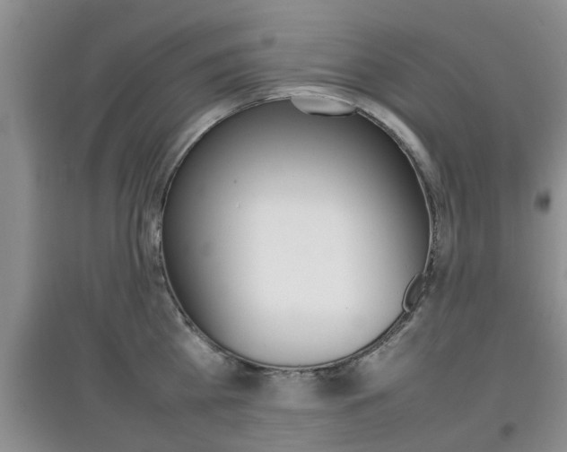 X0000097900809200803141005