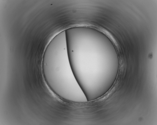 X0000097900810200803141005