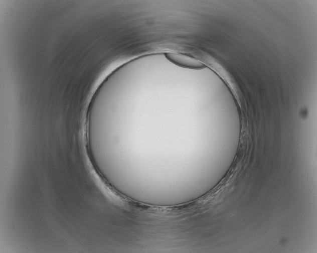 X0000097900811200803141005