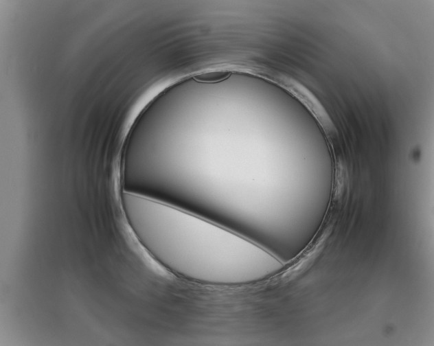 X0000097900812200803141005