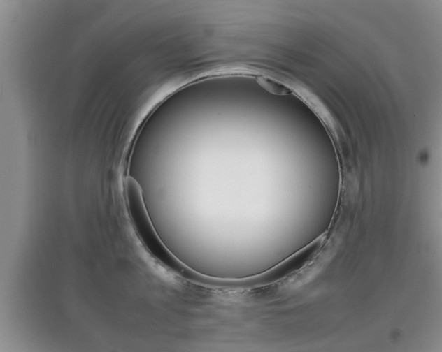 X0000097900813200803141005
