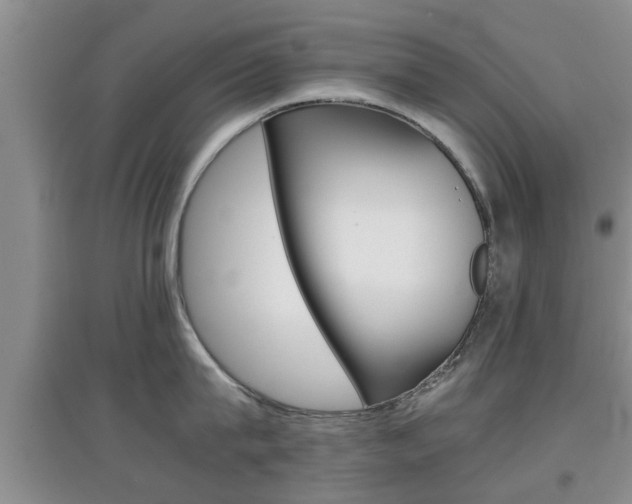X0000097900815200803141005