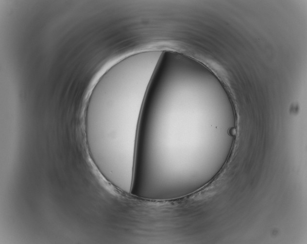X0000097900816200803141005