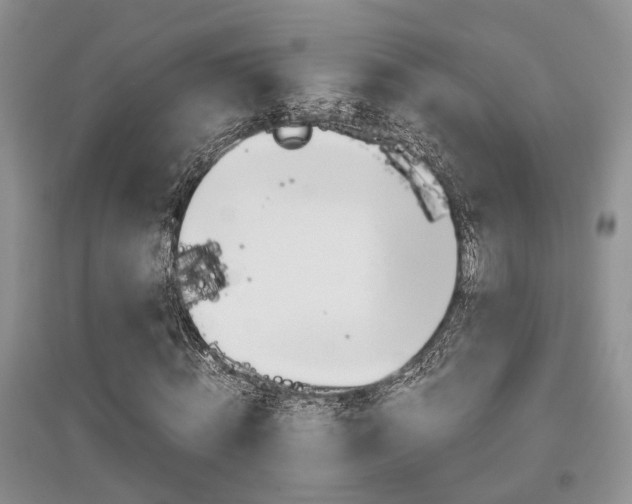 X0000097900820200803141004