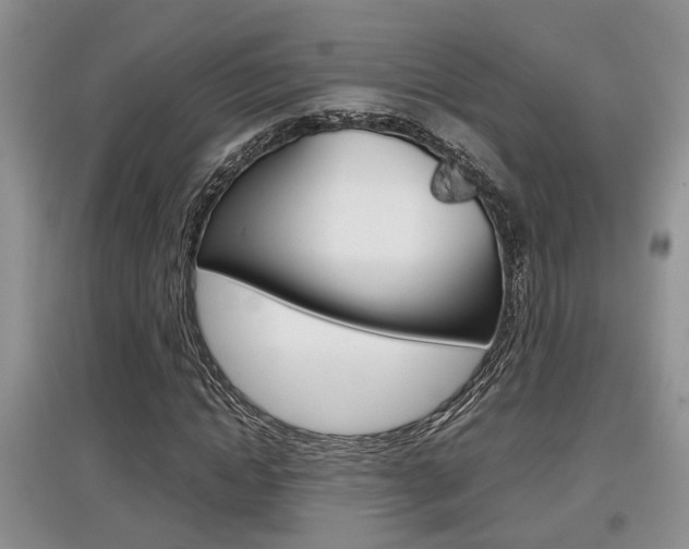 X0000097900822200803141004