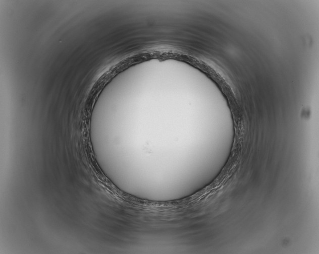 X0000097900823200803141004