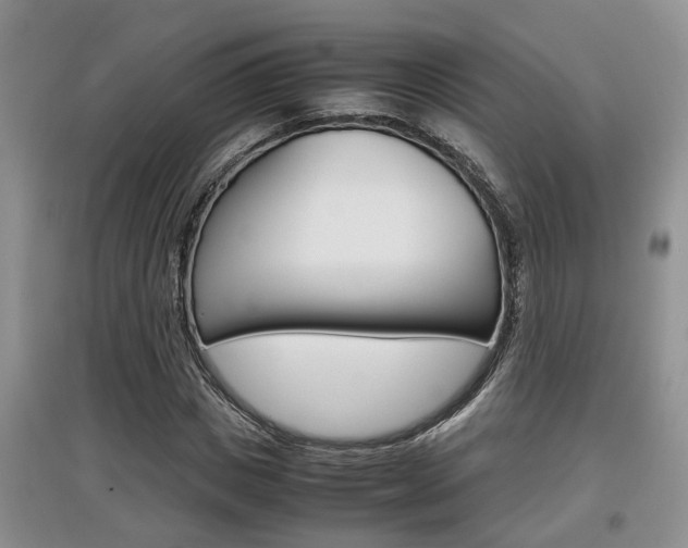 X0000097900825200803141004