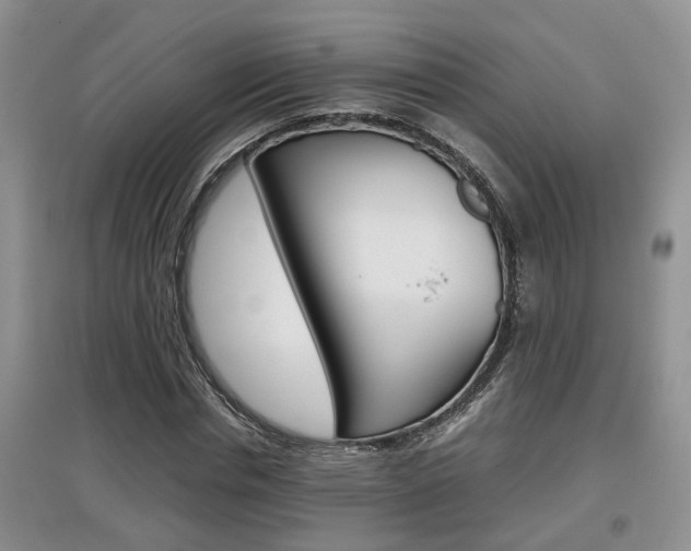 X0000097900826200803141004