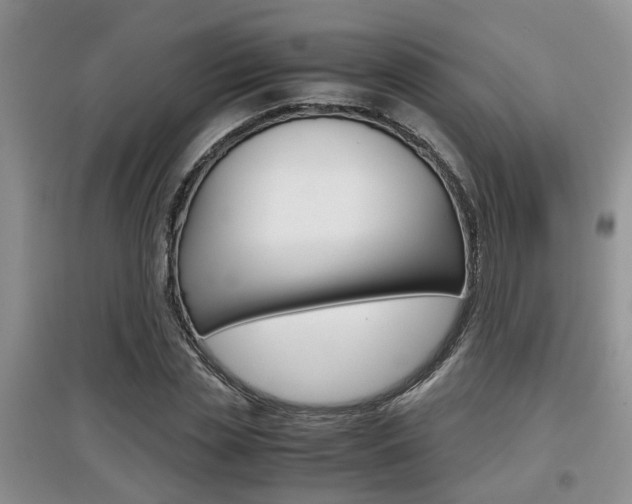 X0000097900829200803141004