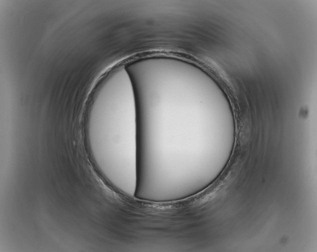 X0000097900831200803141004