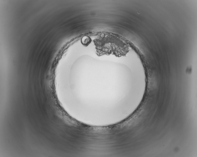 X0000097900832200803141004