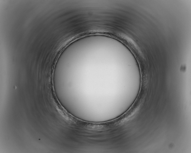 X0000097900833200803141004
