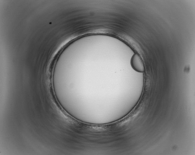 X0000097900835200803141004