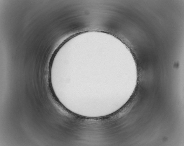 X0000097900836200803141004