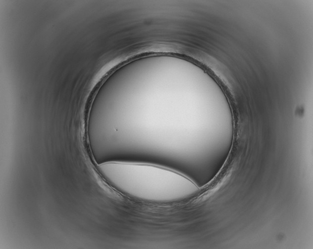X0000097900837200803141004
