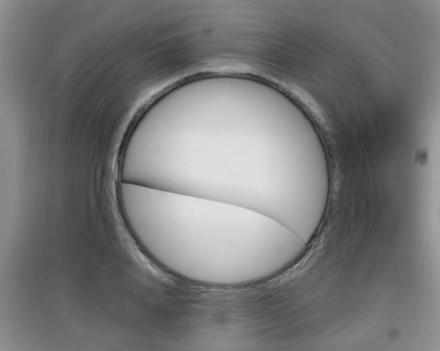 X0000097900840200803141004