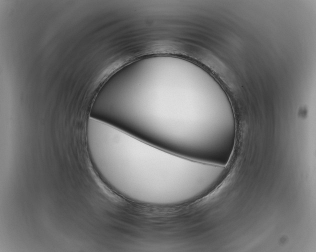 X0000097900841200803141004