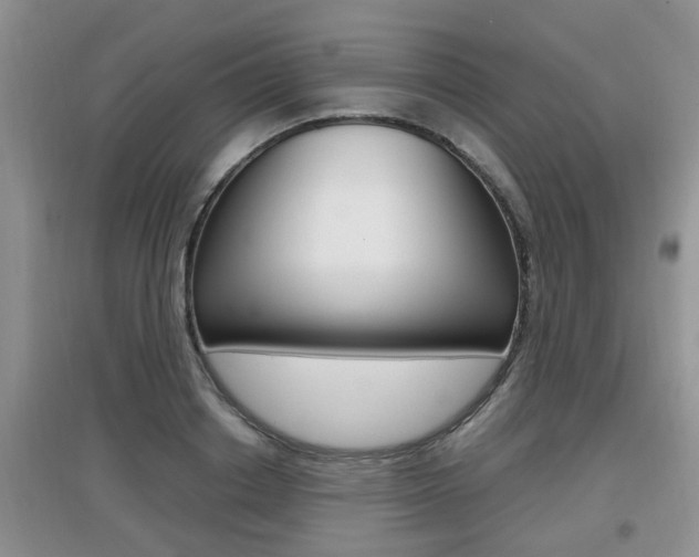 X0000097900842200803141004