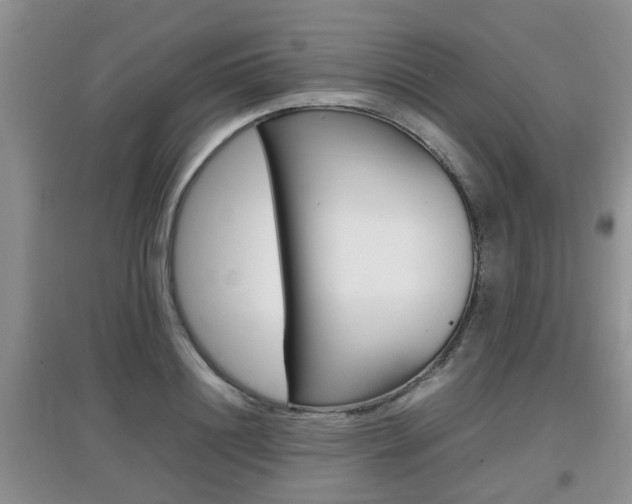 X0000097900844200803141004