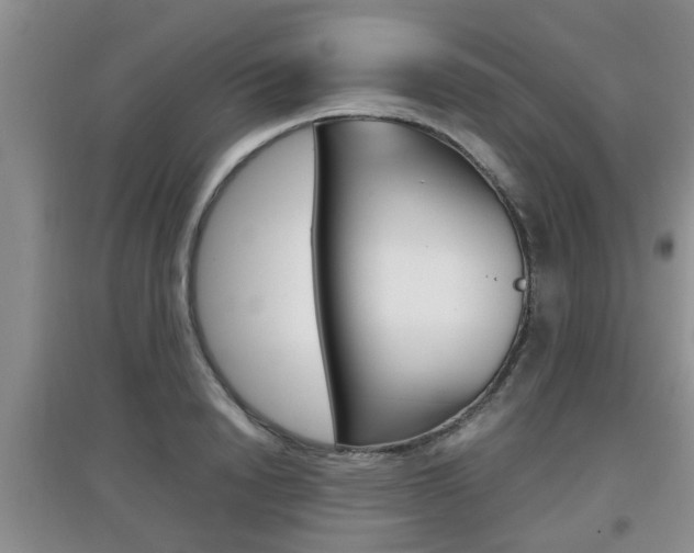 X0000097900846200803141004