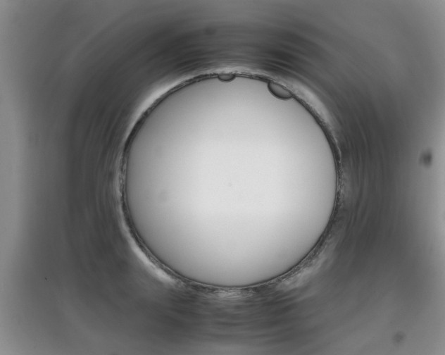 X0000097900847200803141004